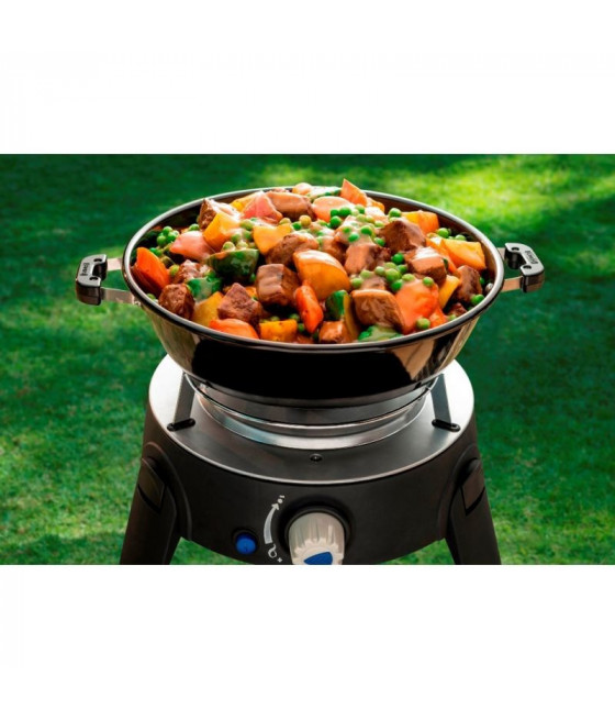 Barbecue a gas Safari chef 2 hp