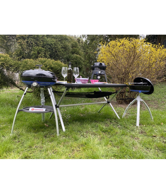 Barbecue a gas Safari chef 2 hp